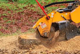 How Our Tree Care Process Works  in  Calcium, NY